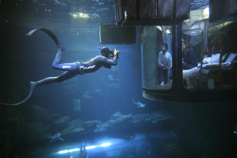 A diver takes pictures as people look at sharks from an underwater room structure installed in the Aquarium of Paris