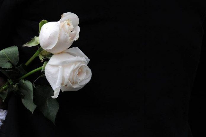 white-roses