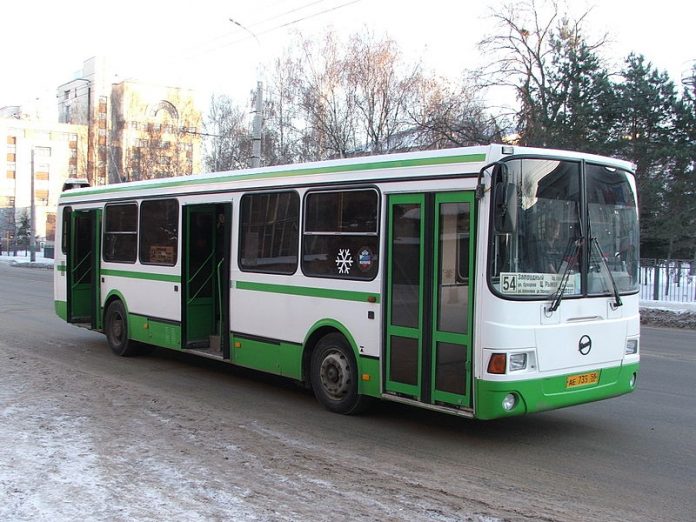 12 - копия