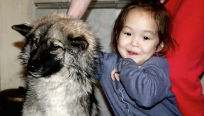 3-летняя девочка блуждала в тайге 11 дней. Волки и медведи не тронули её только потому…