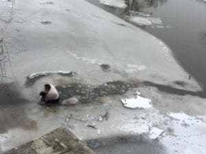 Мужчина прыгнул в ледяную воду, чтобы спасти утопающего пса