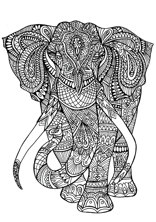 adult-coloring-pages-elephant