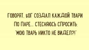 Картинки с надписями с мудрыми