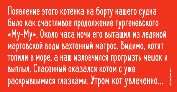 Топить котят это грех. Топить котят это грех