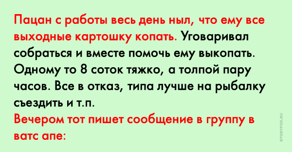Мужик копает картошку. Копать картошку. Выкопали картошку как пишется. Выкопали картошку как пишется. Выкопали картошку как пишется.