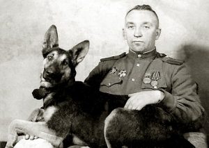 Пограничные собаки против полка фашистов