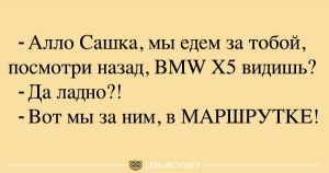 Отличный юмор для всех — настроение гарантировано!