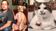 15 фото очень смешных животных, которые были такими дурашками, что улыбка сама появится на лице