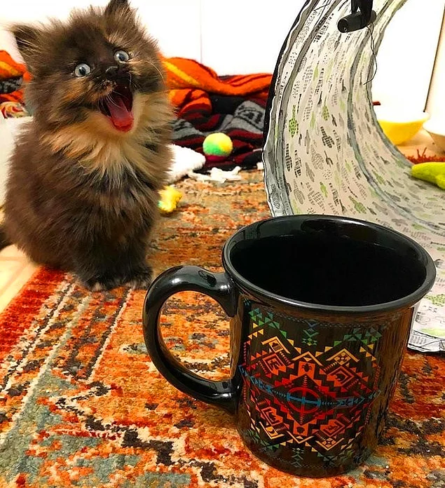 Ей явно нравится крепкий кофе!