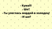 Поднимаем настроение с очередной юморной подборочкой