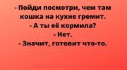 Поднимаем настроение за 1 минуту! «Юморительная» подборка анекдотов