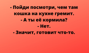 Поднимаем настроение за 1 минуту! «Юморительная» подборка анекдотов