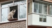 12 смешных покорителей балконов на своих наблюдательных пунктах
