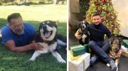 20 счастливых животных, которые попали из приюта прямо к знаменитостям домой