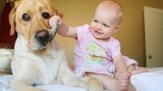 Доброта в мире живет в маленьких сердцах: самые добрые и самые милые фотографии детей с животными