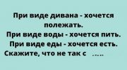 Замечательный подборка оригинального юмора, который запомнится надолго