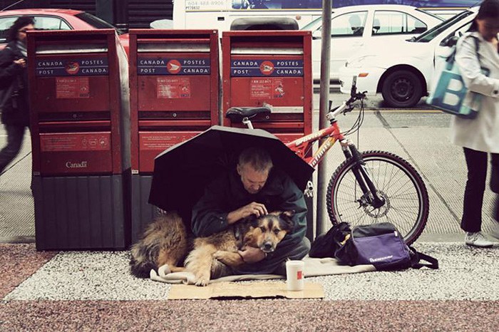 homeless-dogs-unconditional-love-best-friend-45__700