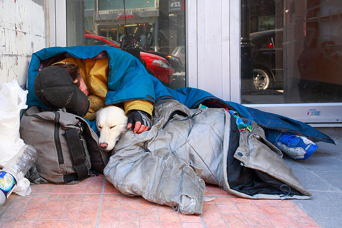 homeless-dogs-unconditional-love-best-friend-54__700