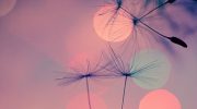Как научиться слышать и понимать сигналы Вселенной