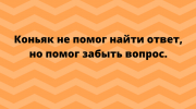 Саркастичные и смешные высказывания и анекдоты из жизни