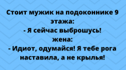 20 свежих шуточек и анекдотов в картинках