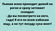 Смешная подборка анекдотов для чудесного настроения