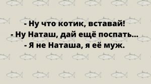 Смешные анекдоты в картинках и веселые истории