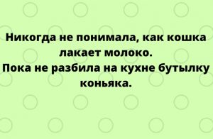 Очередная подборка смешных анекдотов для поднятия настроения