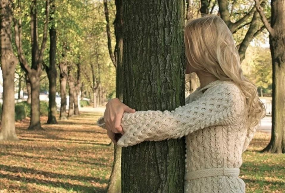 девушка обнимает дерево-донора