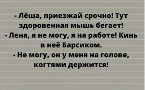 Убойная подборка анекдотов из жизни