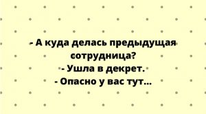 Свежая порция отборных анекдотов и новых шуток