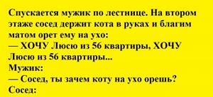 Подборка из 7 свежих анекдотов: ну как тут не посмеяться?