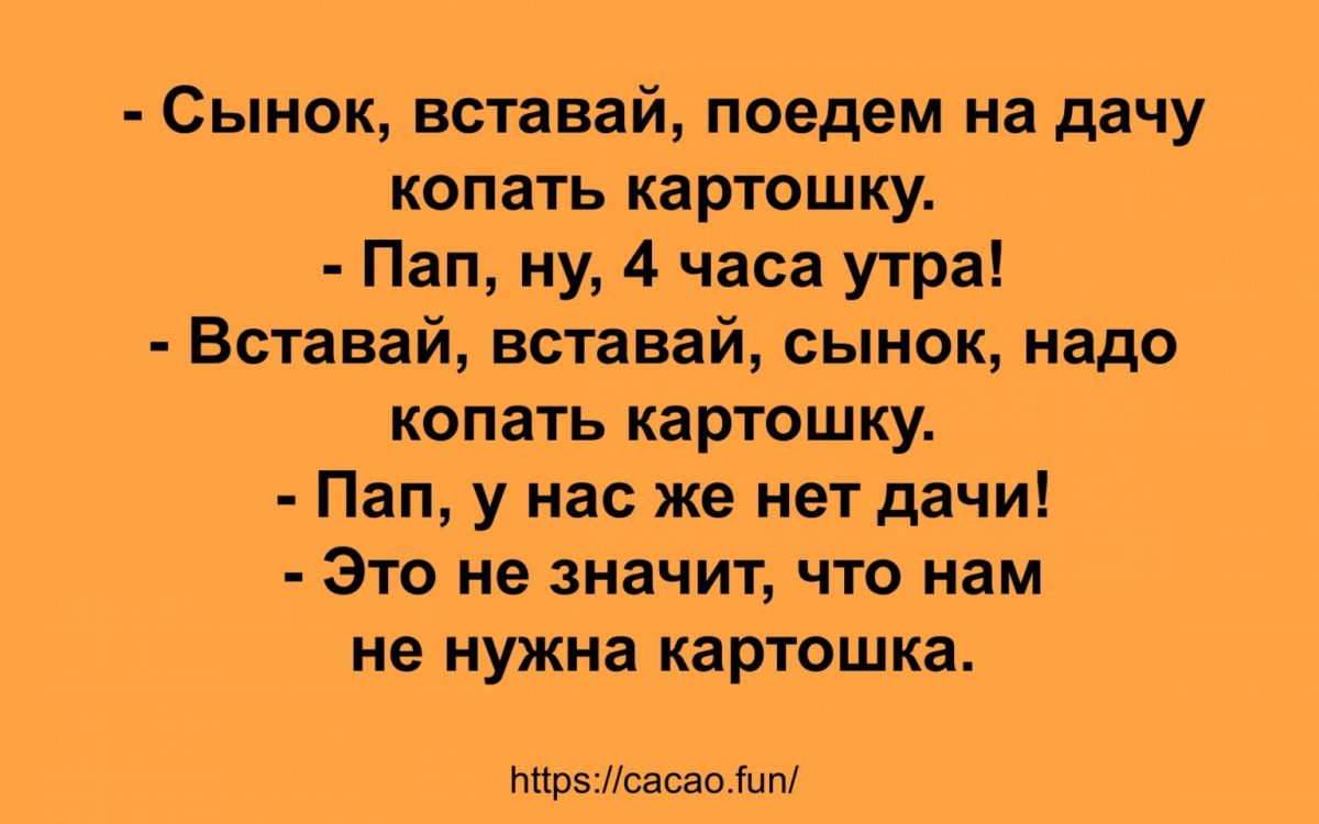 Слушать ане. Короткие анекдоты. Анекдот или анекдот. Короткий анекдот для подарка.