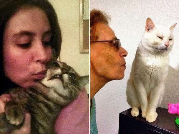 Кот терпит. Котики целуются. Миловалась с котейкой. Человек обнимает кота Мем. Кот целует камеру.