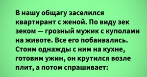 Теплые истории о жизни и очень хороших соседях