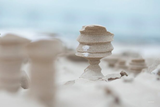 Strong Wind Turned Frozen Sand Into Wonderful Columns. They Look Extraterrestrial!