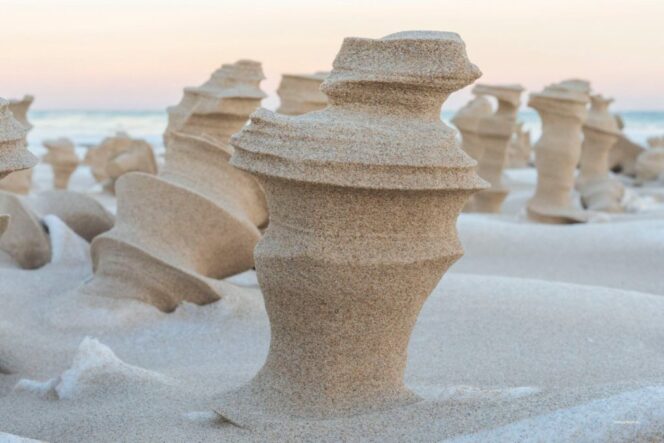 Strong Wind Turned Frozen Sand Into Wonderful Columns. They Look Extraterrestrial!