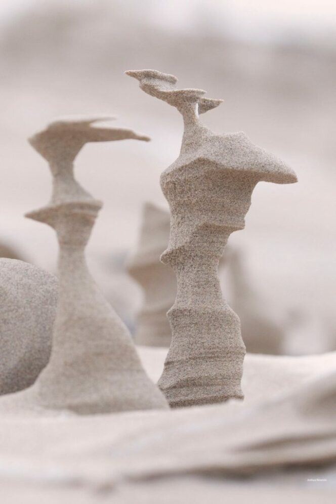 Strong Wind Turned Frozen Sand Into Wonderful Columns. They Look Extraterrestrial!